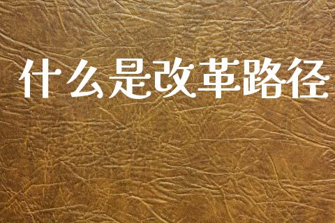 什么是改革路径_https://m.15771688.com_美国道指_第1张