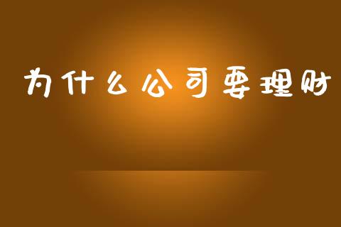 为什么公司要理财_https://m.15771688.com_美国道指_第1张
