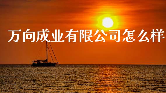 万向成业有限公司怎么样_https://m.15771688.com_道指实时行情_第1张