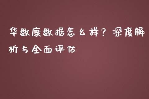 华数康数据怎么样？深度解析与全面评估_https://m.15771688.com_美国道指_第1张