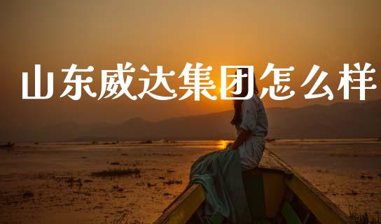 山东威达集团怎么样_https://m.15771688.com_道指实时行情_第1张