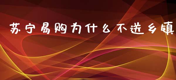 苏宁易购为什么不送乡镇_https://m.15771688.com_期货手续费_第1张