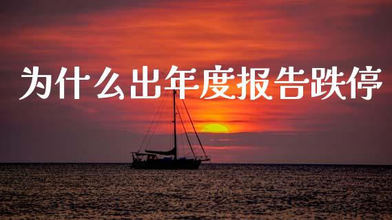 为什么出年度报告跌停_https://m.15771688.com_期货手续费_第1张
