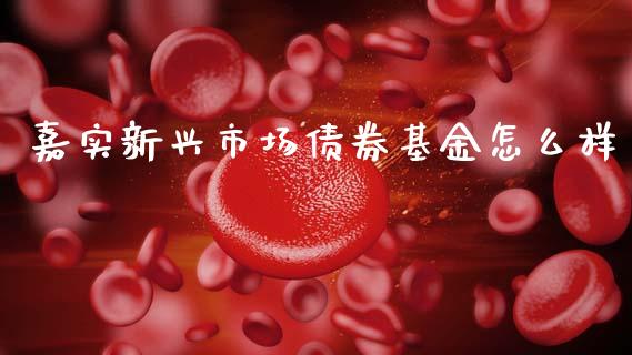 嘉实新兴市场债券基金怎么样_https://m.15771688.com_期货手续费_第1张