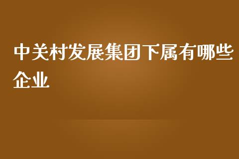 中关村发展集团下属有哪些企业_https://m.15771688.com_美国道指_第1张