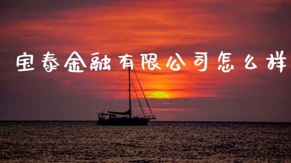 宝泰金融有限公司怎么样_https://m.15771688.com_期货开户_第1张
