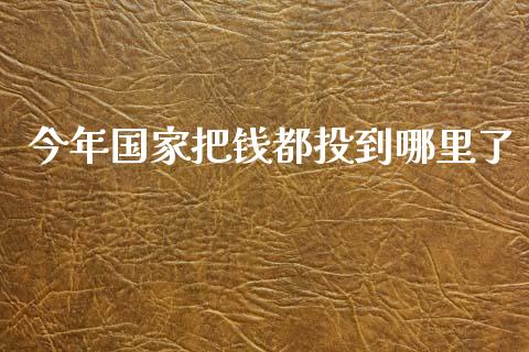今年国家把钱都投到哪里了_https://m.15771688.com_美国道指_第1张