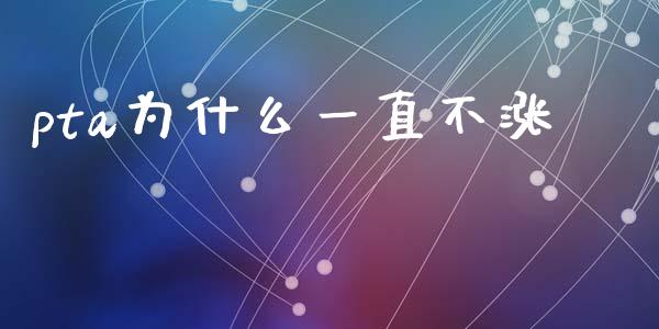 pta为什么一直不涨_https://m.15771688.com_道指实时行情_第1张
