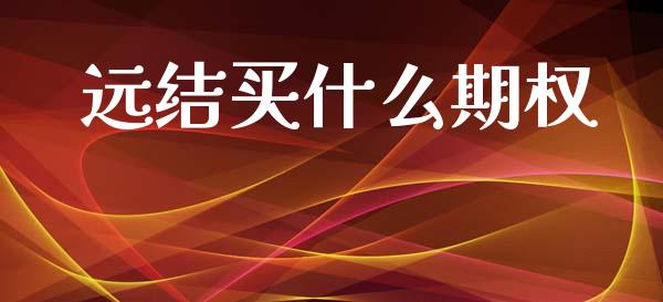 远结买什么期权_https://m.15771688.com_期货开户_第1张