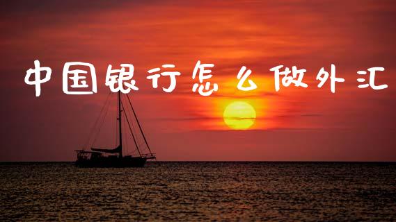 中国银行怎么做外汇_https://m.15771688.com_美国道指_第1张