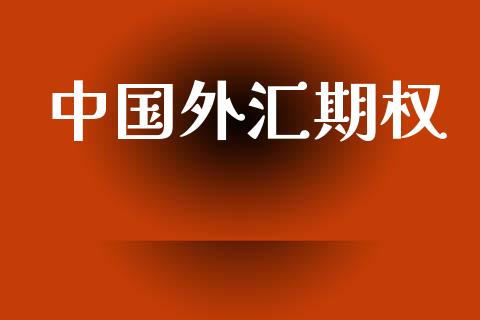 中国外汇期权_https://m.15771688.com_道指实时行情_第1张