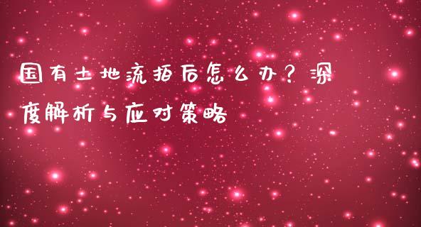 国有土地流拍后怎么办？深度解析与应对策略_https://m.15771688.com_道指实时行情_第1张