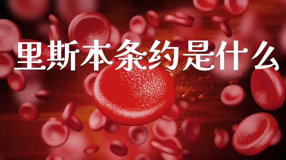 里斯本条约是什么_https://m.15771688.com_美国道指_第1张