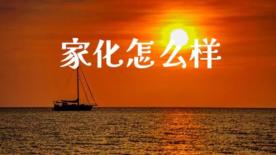 家化怎么样_https://m.15771688.com_美国道指_第1张