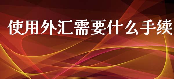 使用外汇需要什么手续_https://m.15771688.com_道指实时行情_第1张