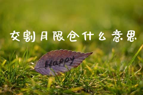 交割月限仓什么意思_https://m.15771688.com_美国道指_第1张