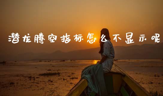 潜龙腾空指标怎么不显示呢_https://m.15771688.com_美国道指_第1张