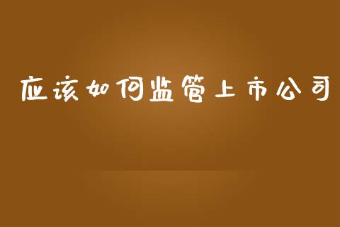 应该如何监管上市公司_https://m.15771688.com_道指实时行情_第1张