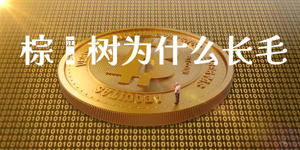 棕榈树为什么长毛_https://m.15771688.com_期货开户_第1张