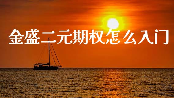 金盛二元期权怎么入门_https://m.15771688.com_期货开户_第1张