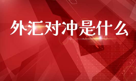 外汇对冲是什么_https://m.15771688.com_美国道指_第1张
