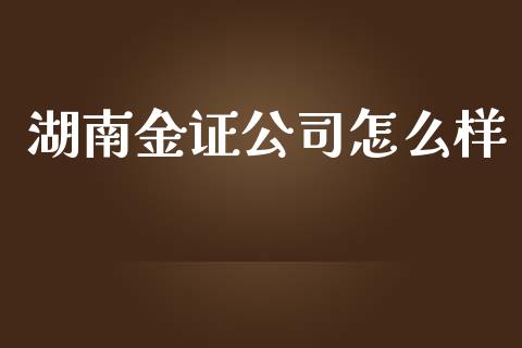 湖南金证公司怎么样_https://m.15771688.com_道指实时行情_第1张
