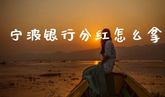 宁波银行分红怎么拿_https://m.15771688.com_期货手续费_第1张