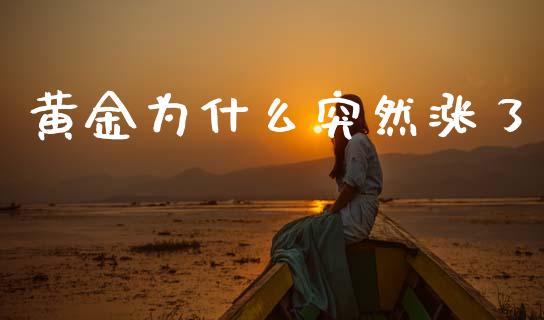 黄金为什么突然涨了_https://m.15771688.com_期货开户_第1张