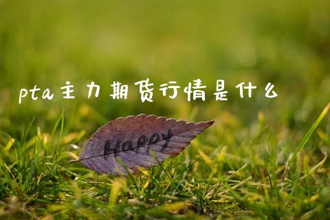 pta主力期货行情是什么_https://m.15771688.com_期货开户_第1张