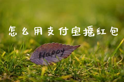 怎么用支付宝摇红包_https://m.15771688.com_期货开户_第1张