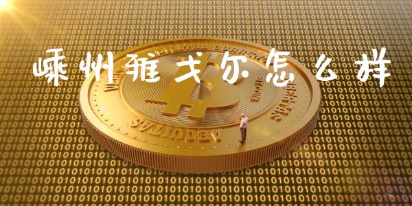 嵊州雅戈尔怎么样_https://m.15771688.com_期货开户_第1张