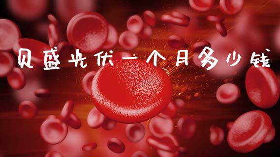 贝盛光伏一个月多少钱_https://m.15771688.com_期货开户_第1张