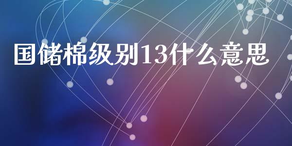 国储棉级别13什么意思_https://m.15771688.com_期货开户_第1张
