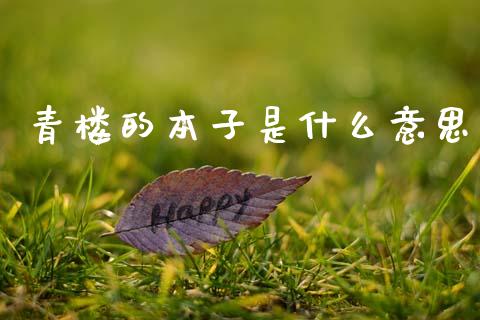 青楼的本子是什么意思_https://m.15771688.com_美国道指_第1张
