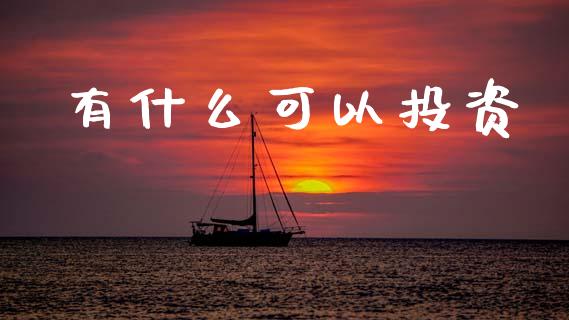 有什么可以投资_https://m.15771688.com_期货手续费_第1张