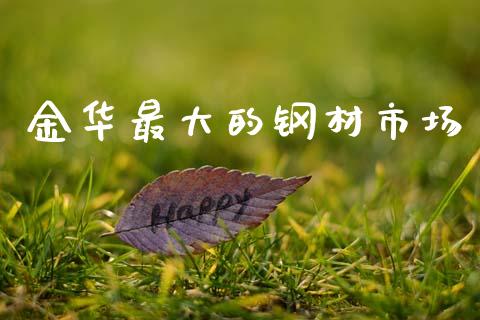 金华最大的钢材市场_https://m.15771688.com_期货手续费_第1张