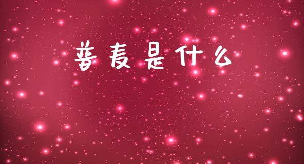 普麦是什么_https://m.15771688.com_期货手续费_第1张