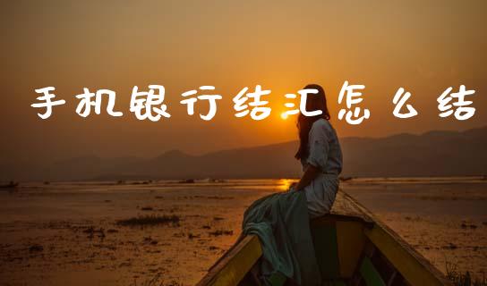 手机银行结汇怎么结_https://m.15771688.com_道指实时行情_第1张