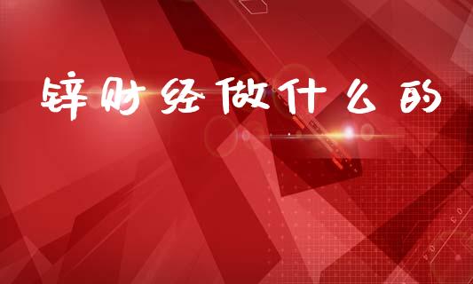 锌财经做什么的_https://m.15771688.com_期货手续费_第1张