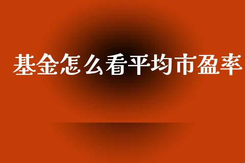 基金怎么看平均市盈率_https://m.15771688.com_期货手续费_第1张