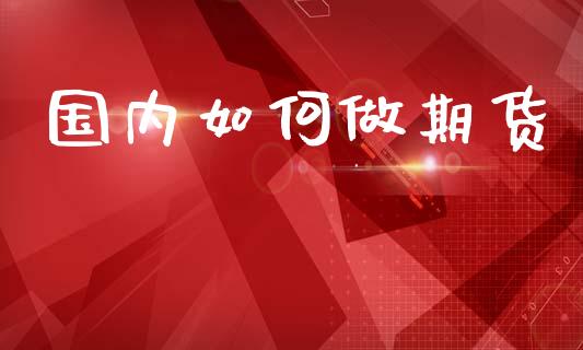 国内如何做期货_https://m.15771688.com_期货手续费_第1张