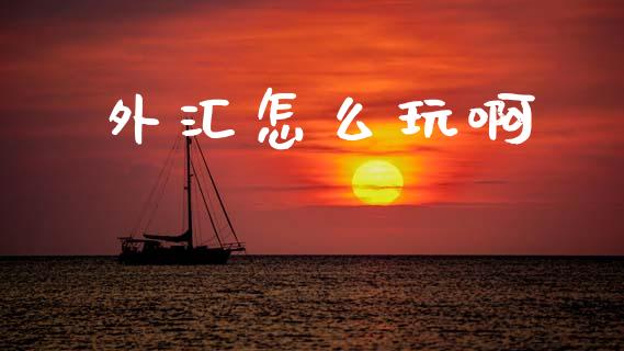 外汇怎么玩啊_https://m.15771688.com_期货手续费_第1张