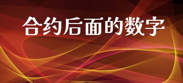 合约后面的数字_https://m.15771688.com_期货手续费_第1张