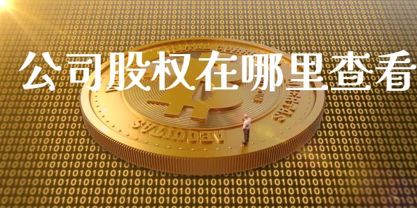 公司股权在哪里查看_https://m.15771688.com_美国道指_第1张