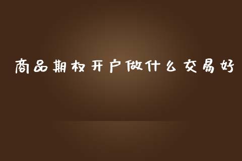 商品期权开户做什么交易好_https://m.15771688.com_期货开户_第1张