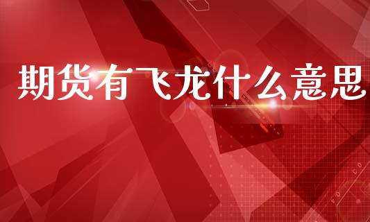 期货有飞龙什么意思_https://m.15771688.com_道指实时行情_第1张
