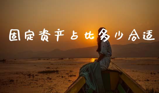 固定资产占比多少合适_https://m.15771688.com_期货开户_第1张