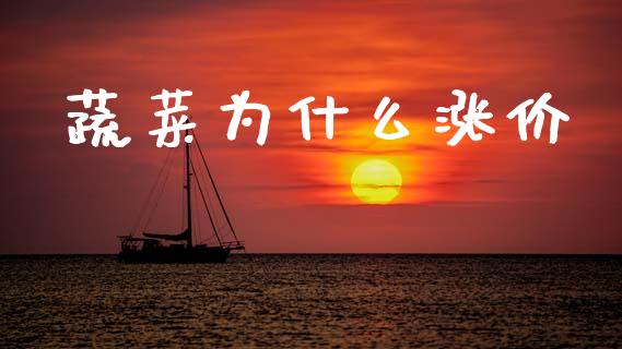 蔬菜为什么涨价_https://m.15771688.com_道指实时行情_第1张