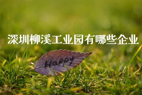 深圳柳溪工业园有哪些企业_https://m.15771688.com_道指实时行情_第1张