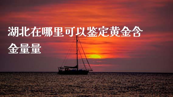 湖北在哪里可以鉴定黄金含金量量_https://m.15771688.com_期货开户_第1张